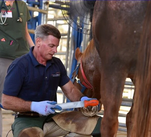 Tasmania - INSPIRE & MASTERCLASS (for ACEHP and Students)