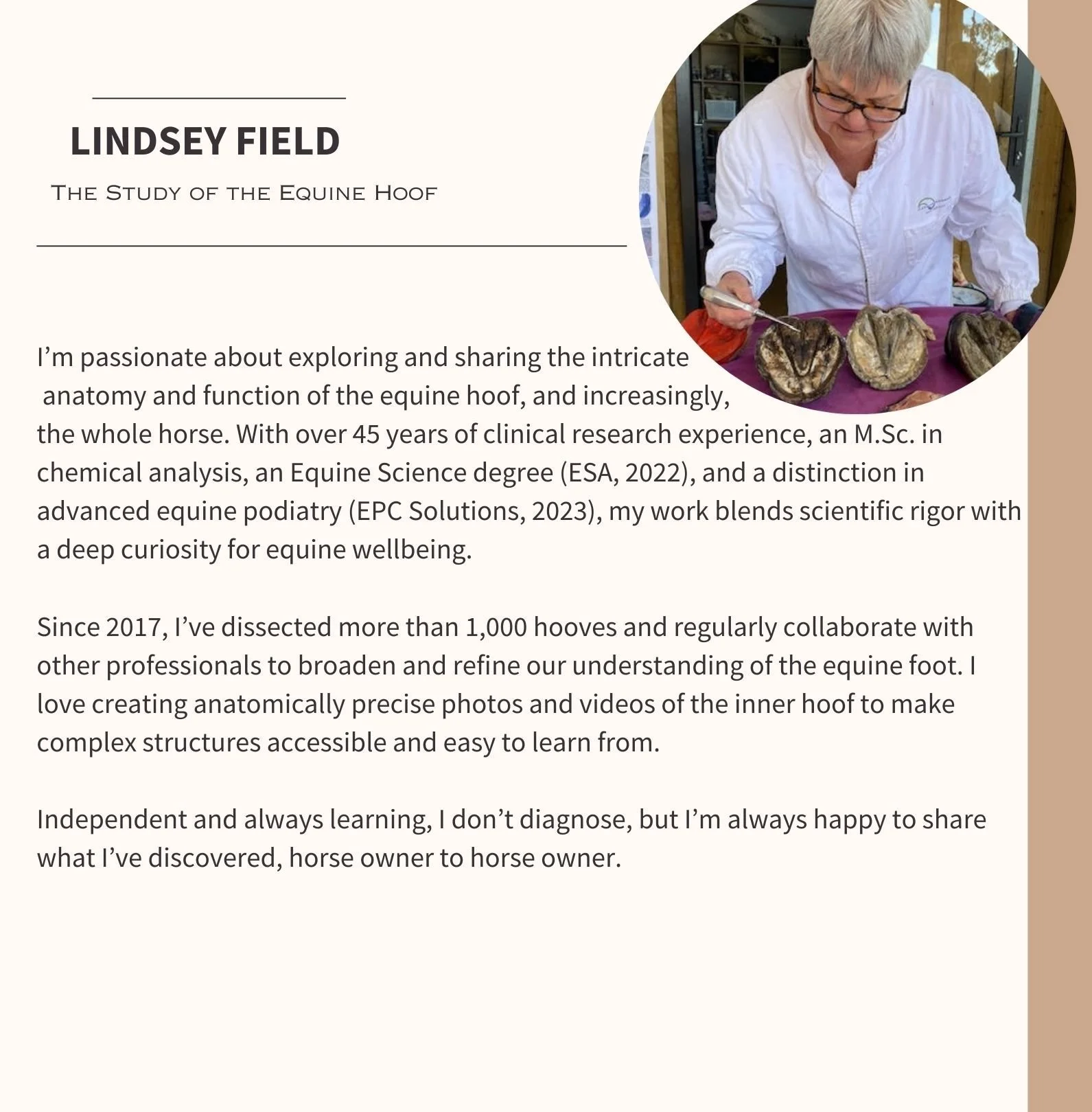 Cream Minimalist Freelancer Resume-9.jpg