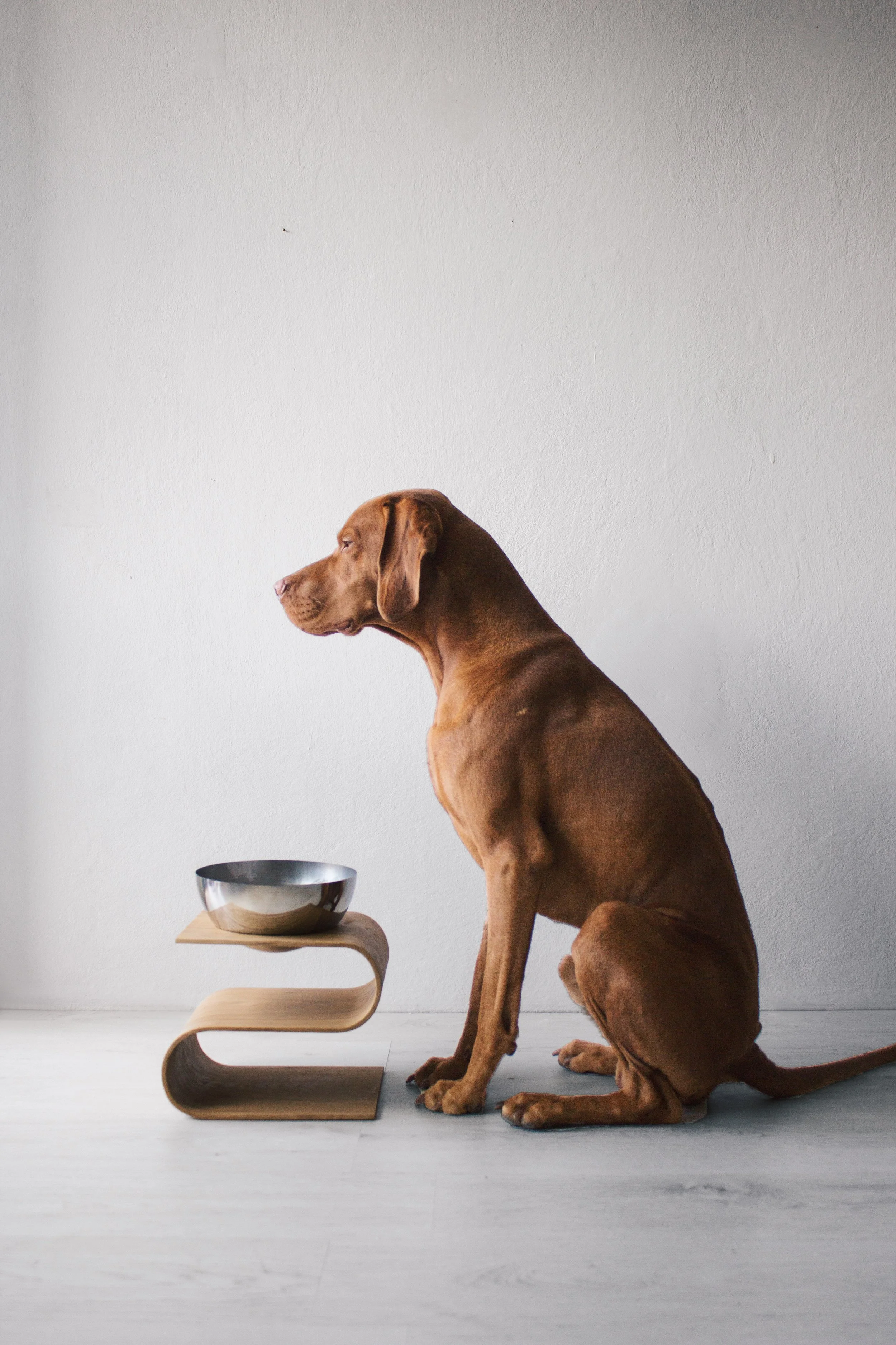 malu_2025-21_VSCO.JPG