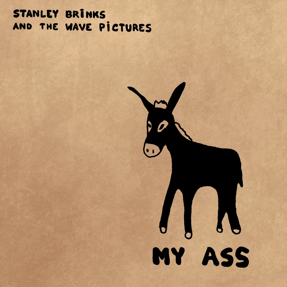 Stanley Brinks and The Wave Pictures - My Ass [12"/CD]