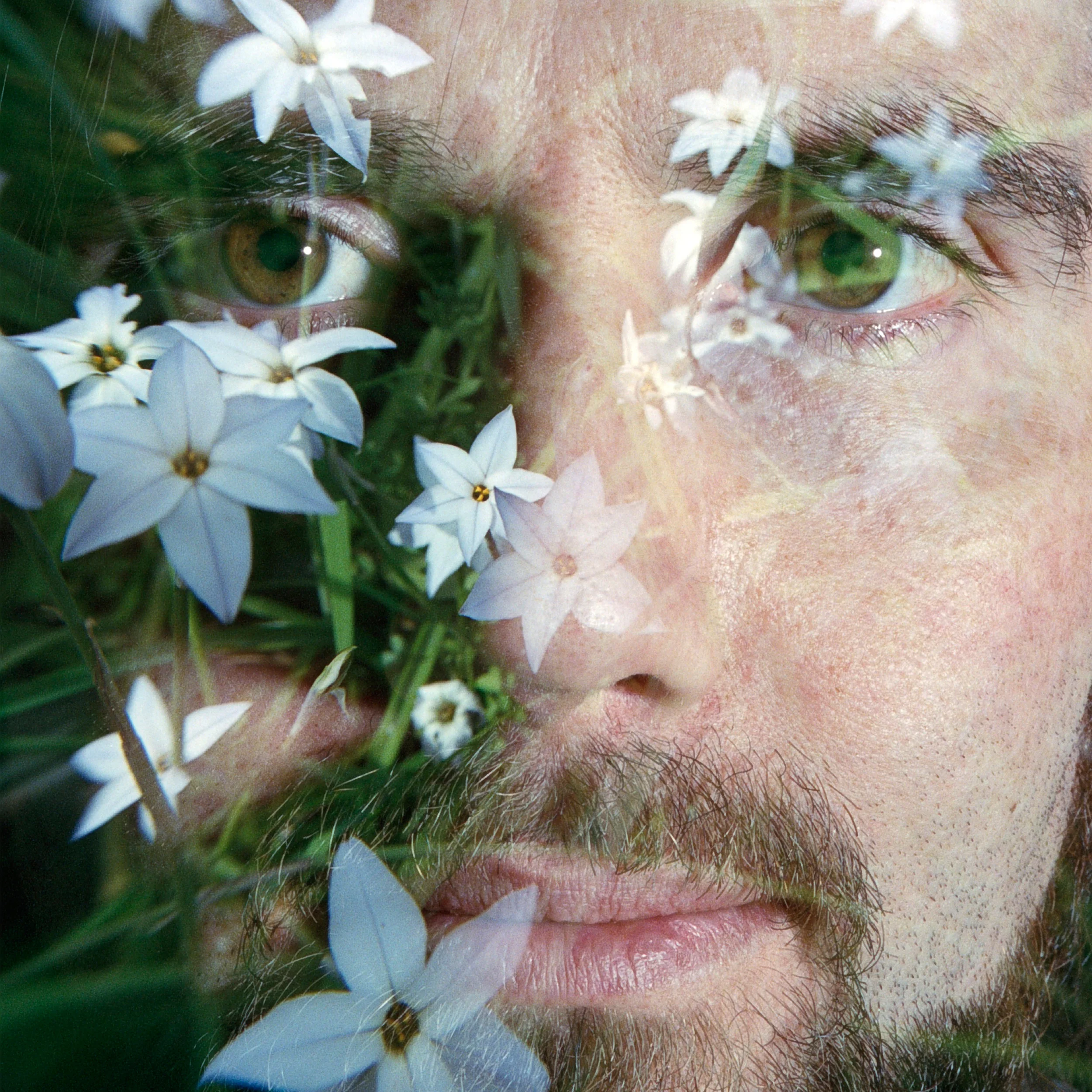 Mikey Collins - Sound in Here [Digital]