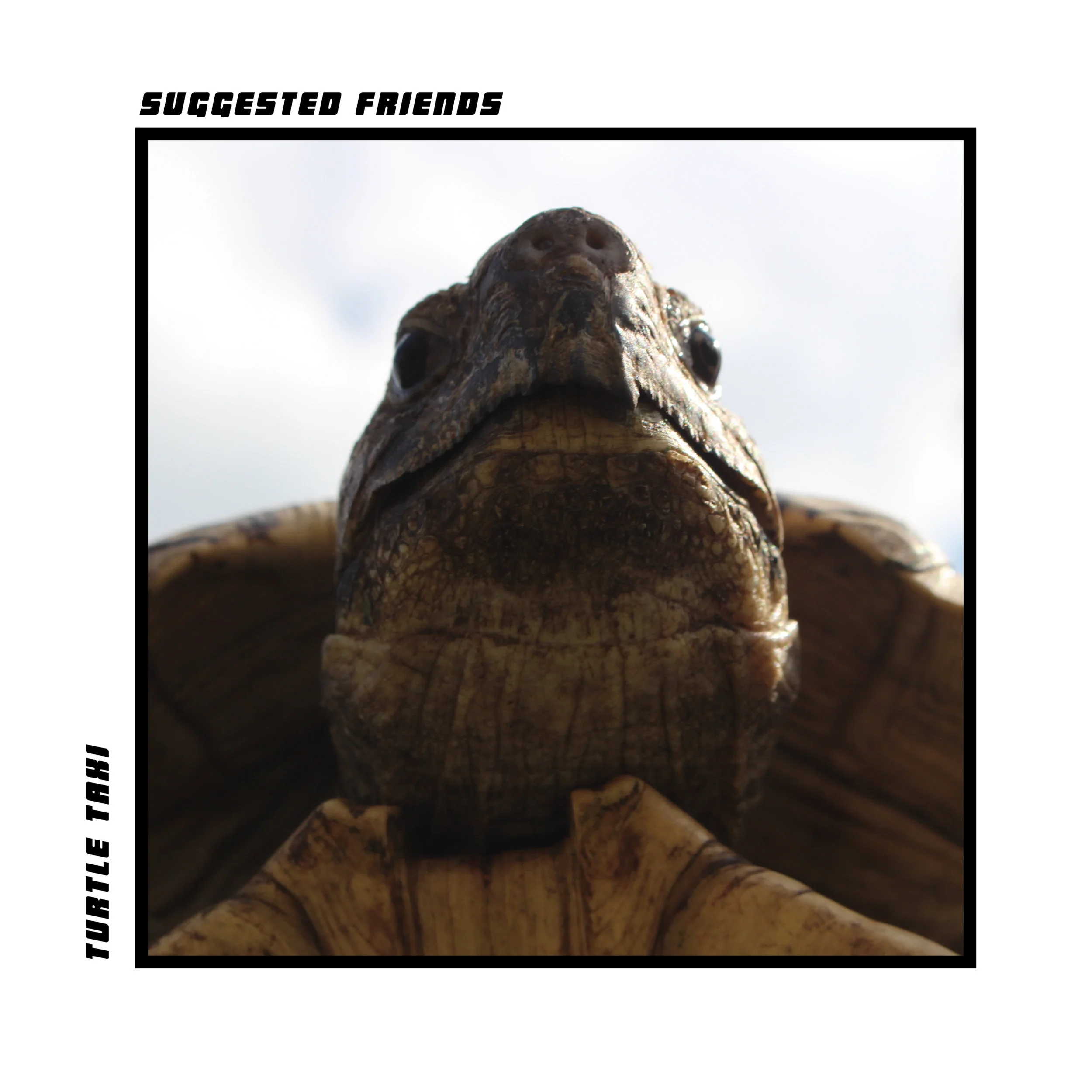 Suggested Friends - Turtle Taxi [Digital]