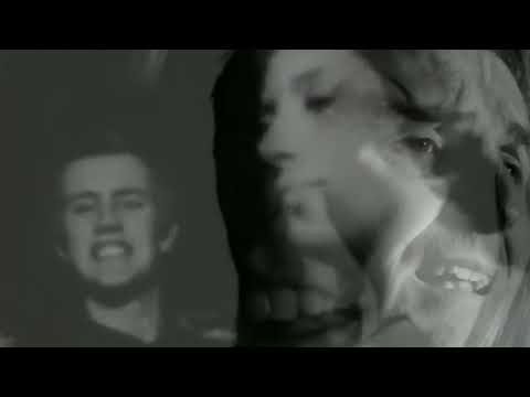 The Just Joans - Limpet