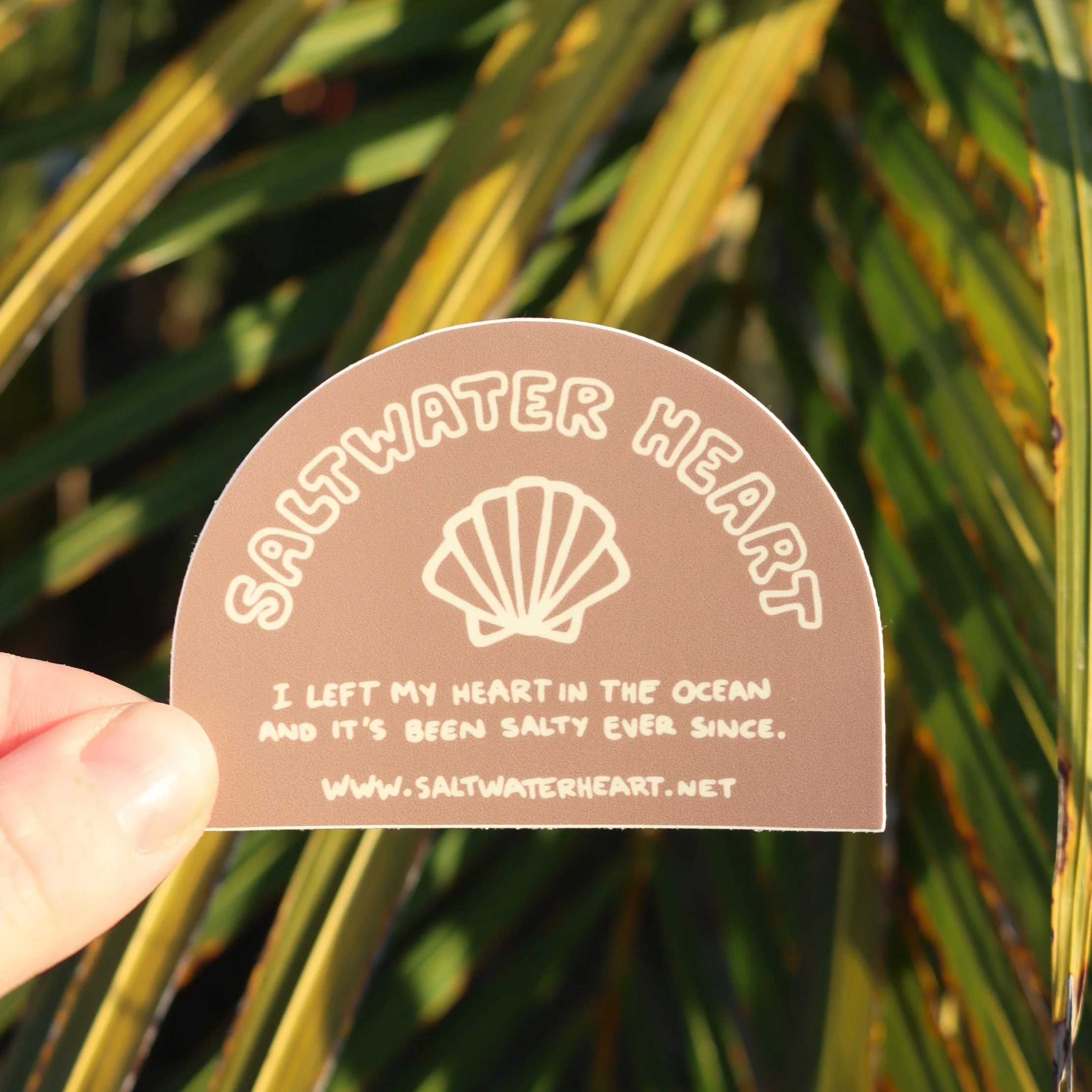 Shell Sticker