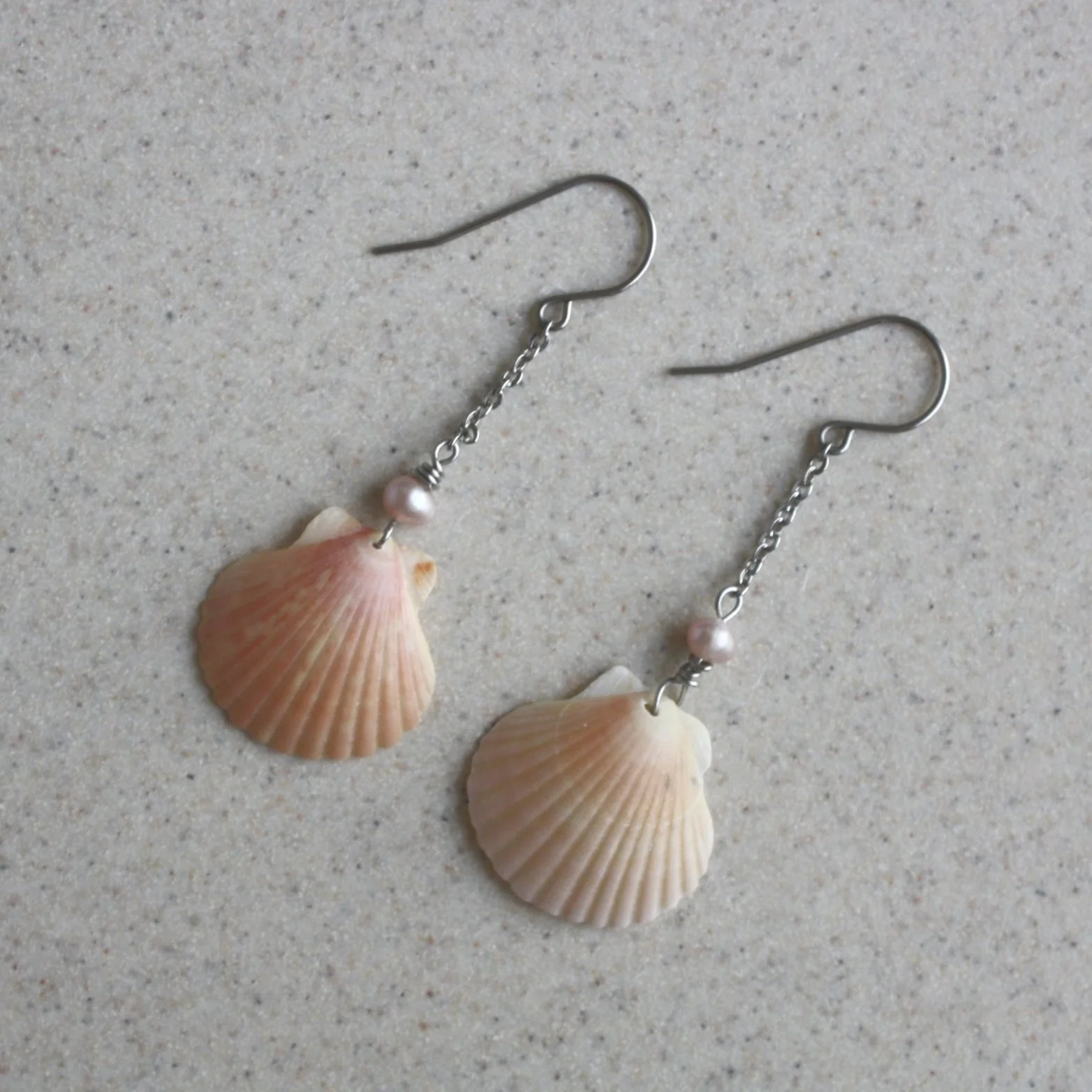 Scallop