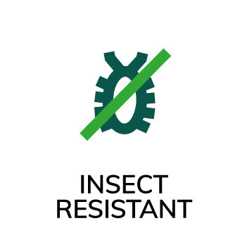 Accoya_Icons_RGB_ENG_Insects_onwhite.jpg