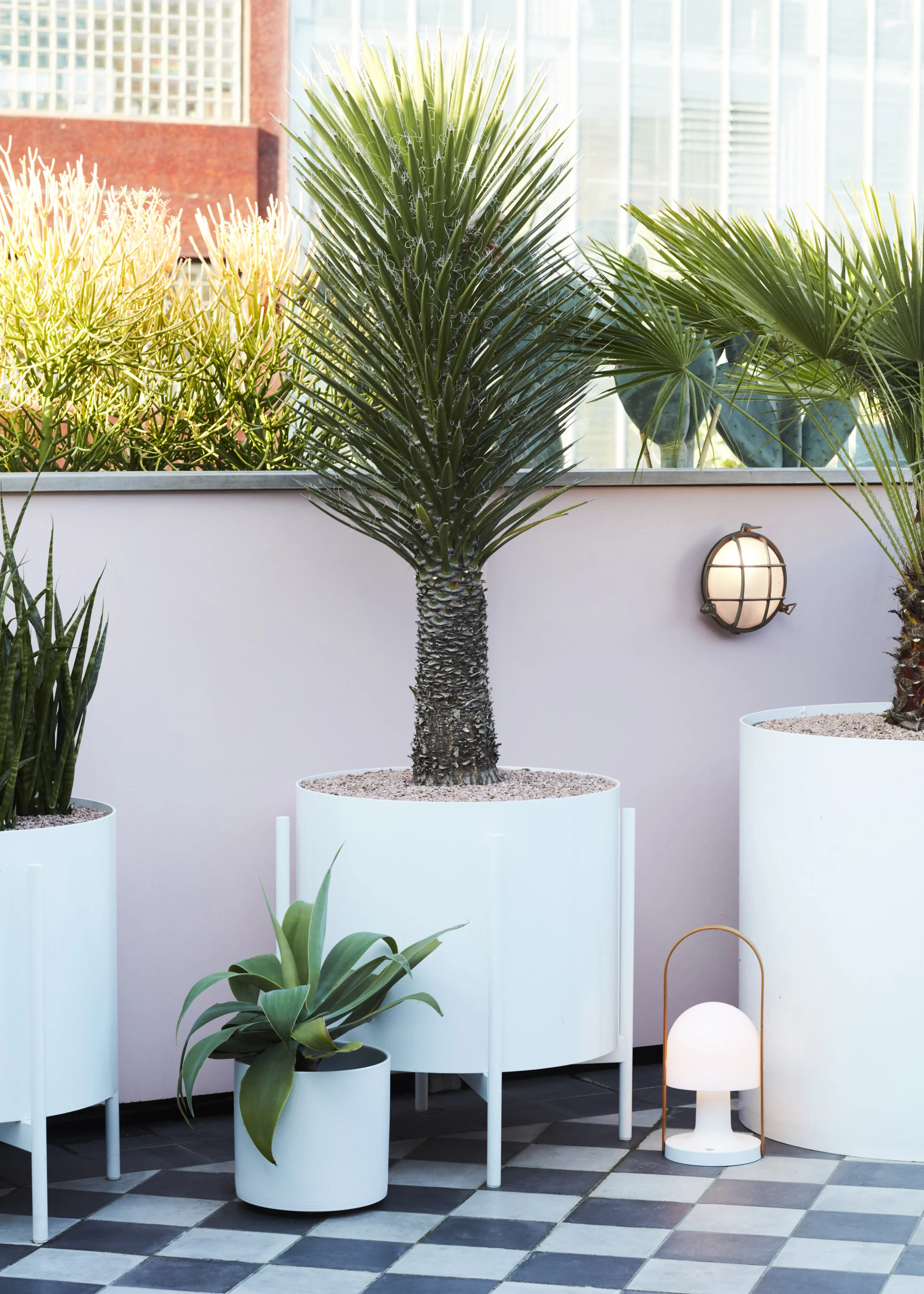 Slims Rooftop — Hyde Park House