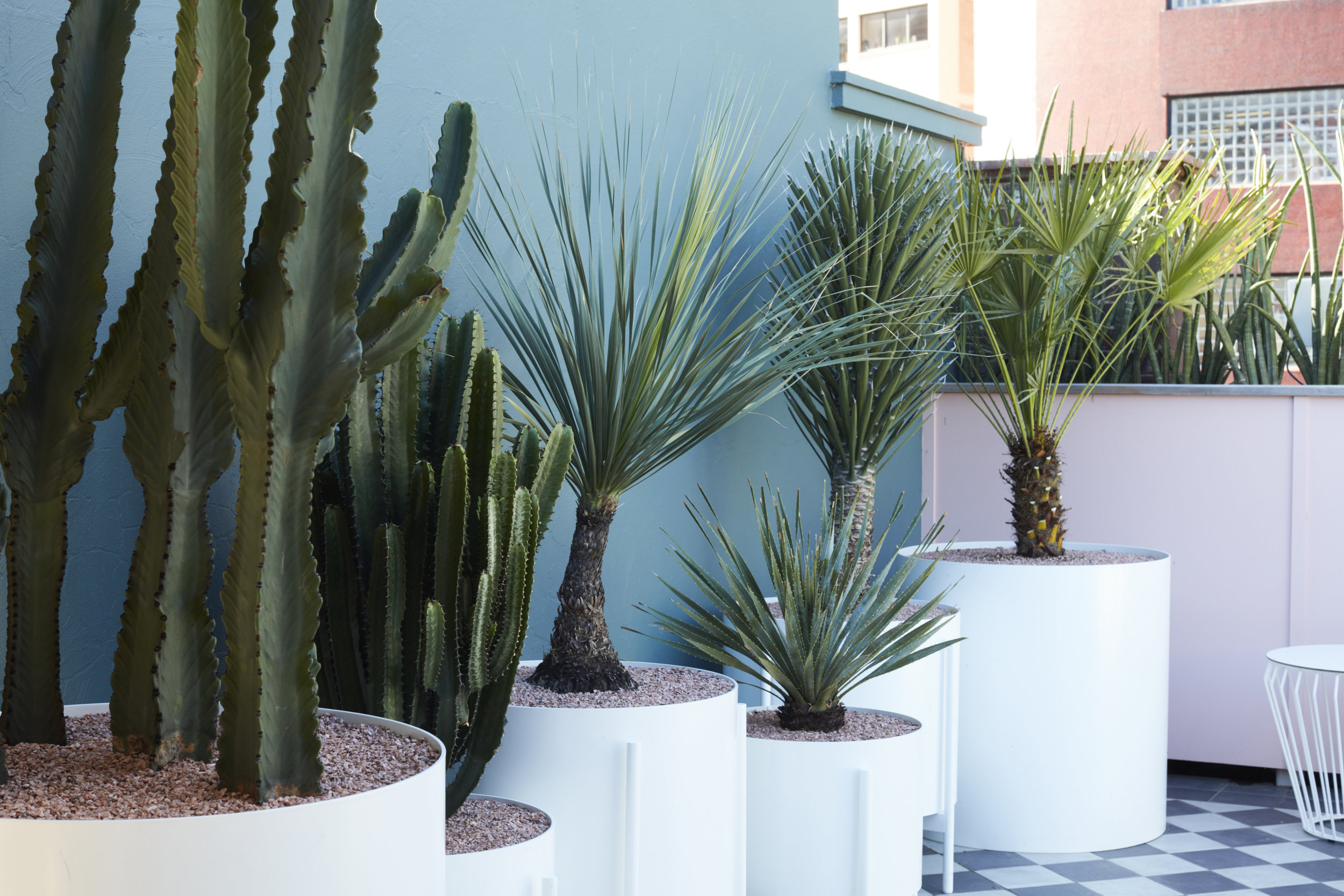 Slims Rooftop — Hyde Park House