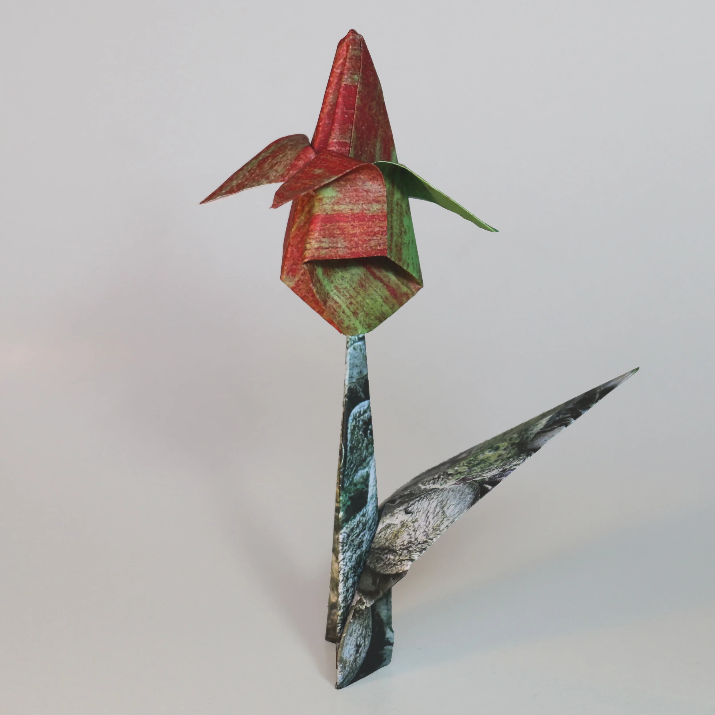 flower06-sqr.jpg