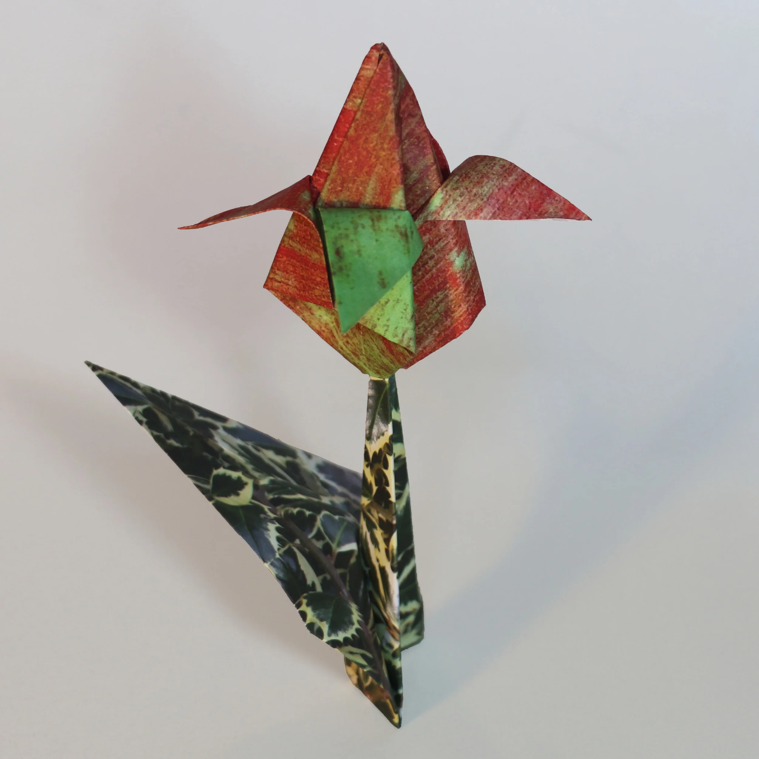 flower09-sqr.jpg