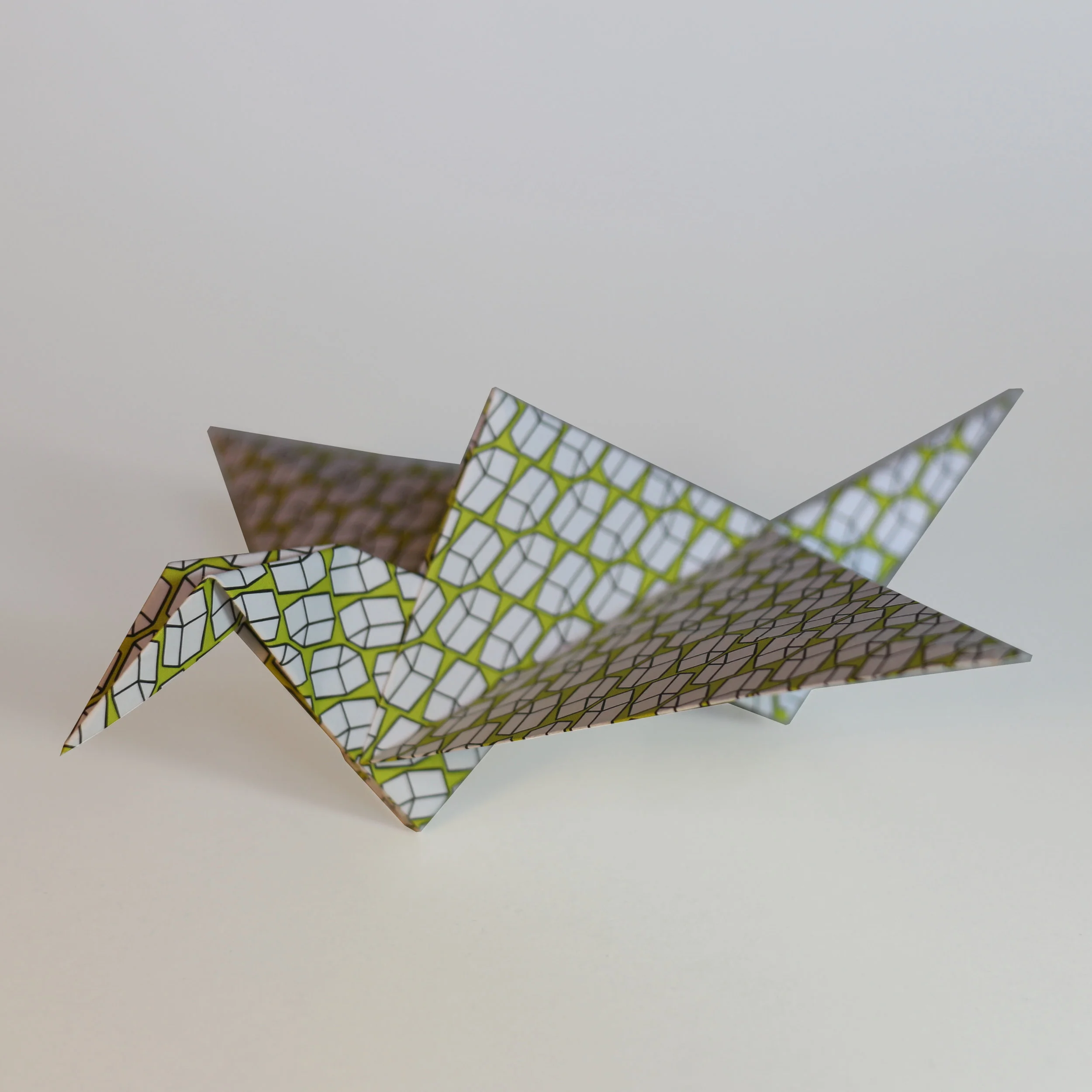 flapping-bird-sqr.jpg