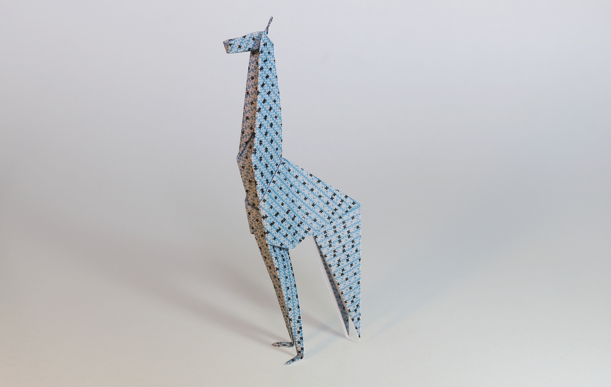 hero-giraffe.jpg