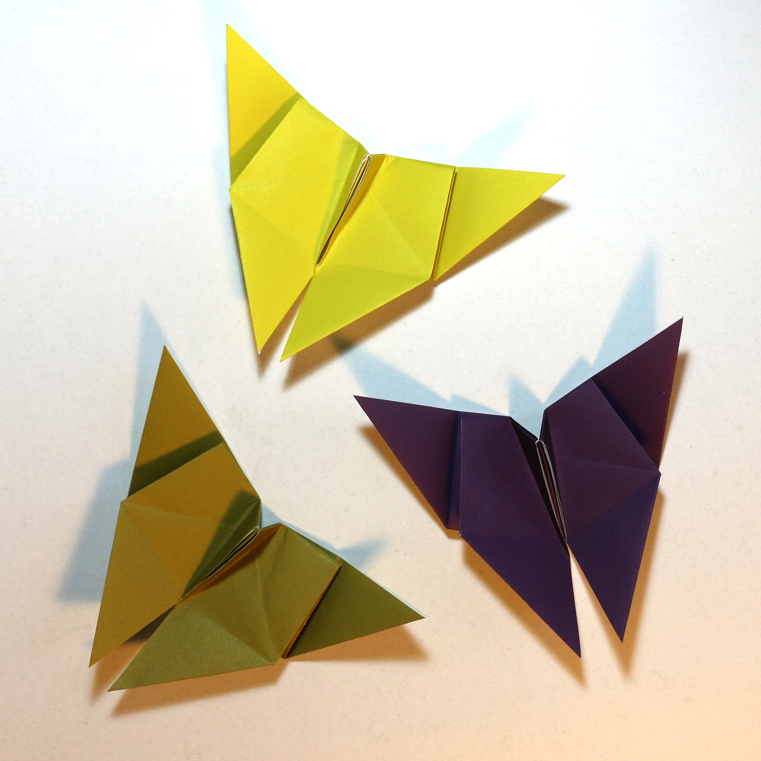 butterfly-class-medley.jpg