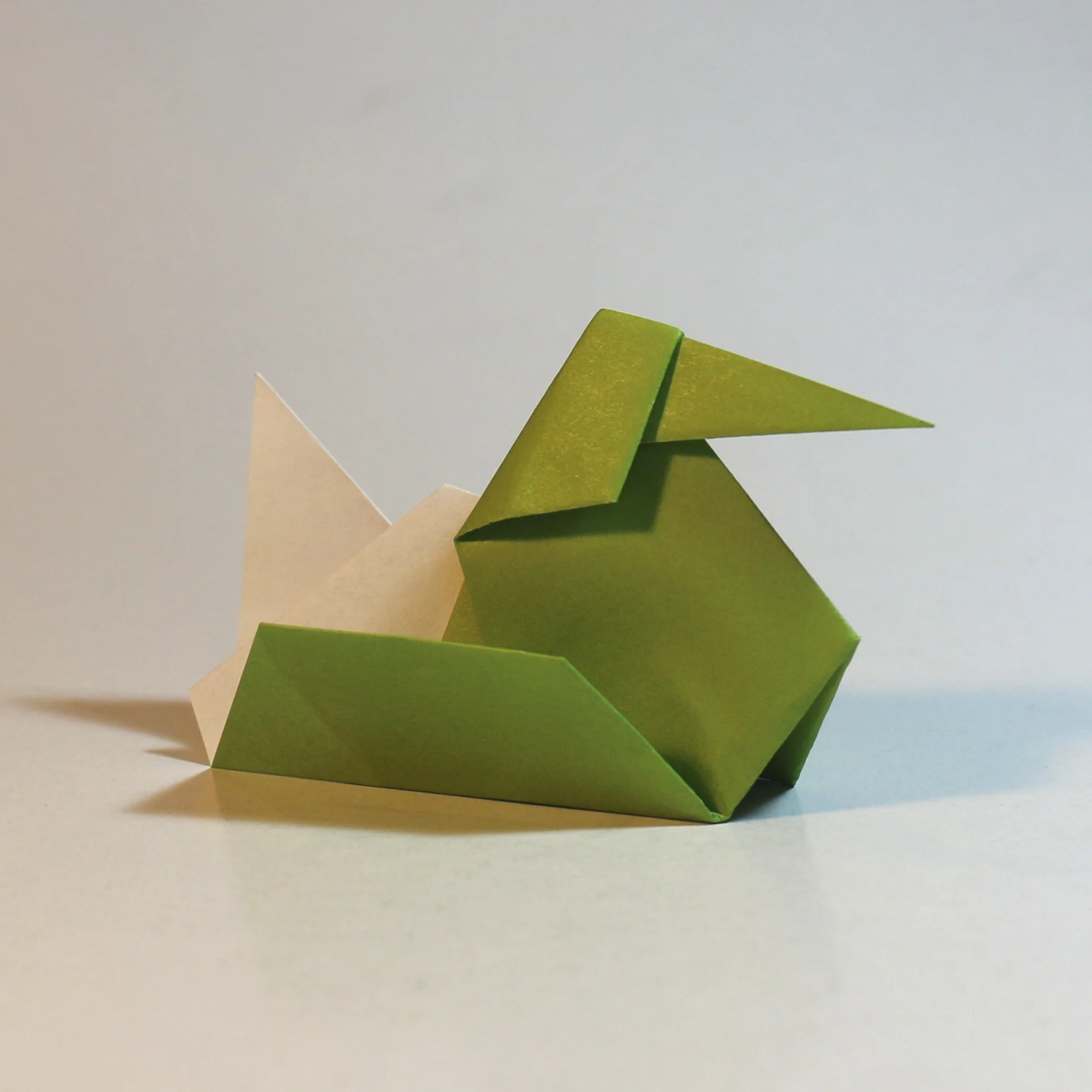 duck-class2.jpg