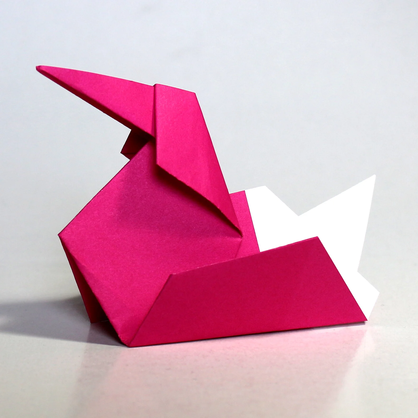 duck-rhodamine-red.jpg
