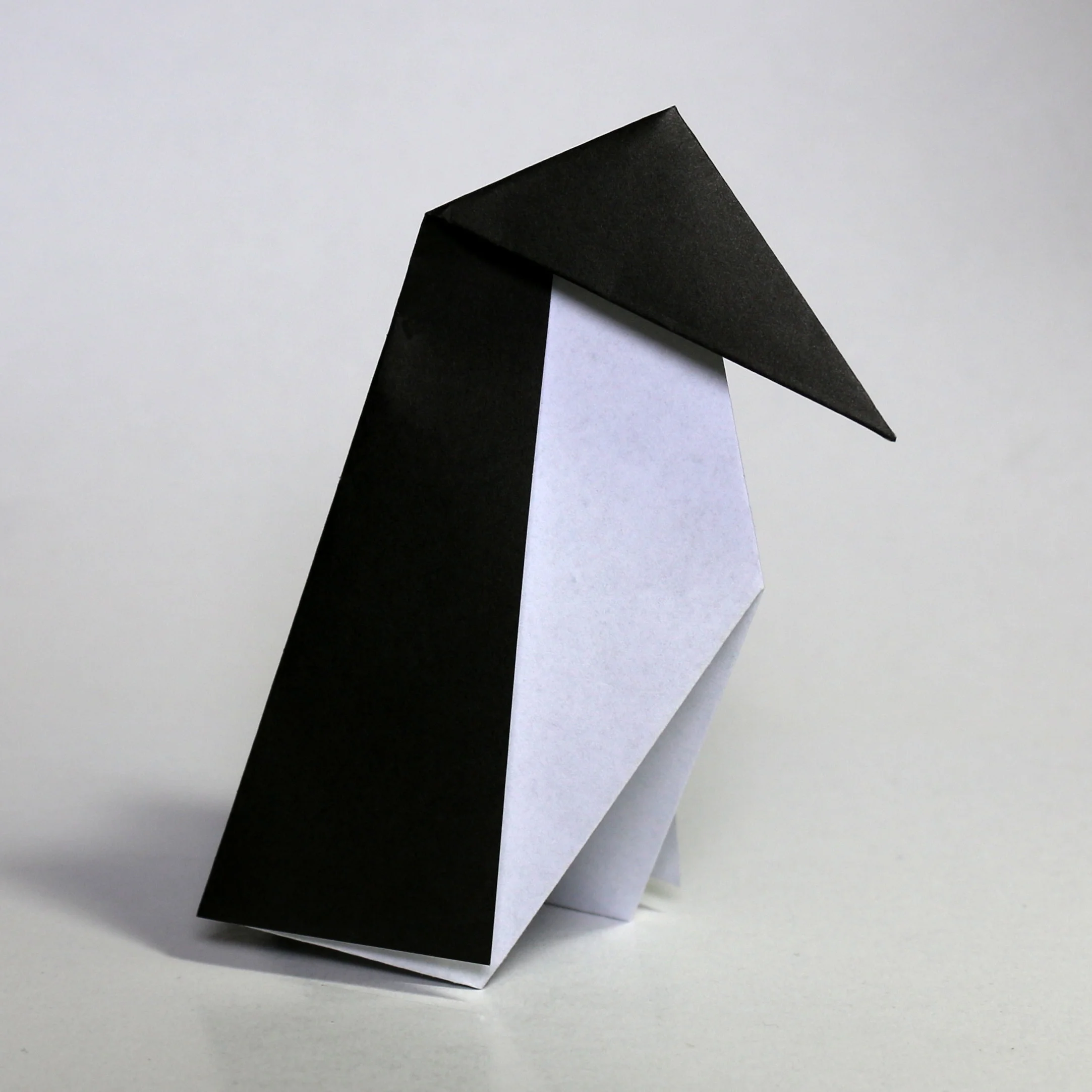 black-penguin.jpg