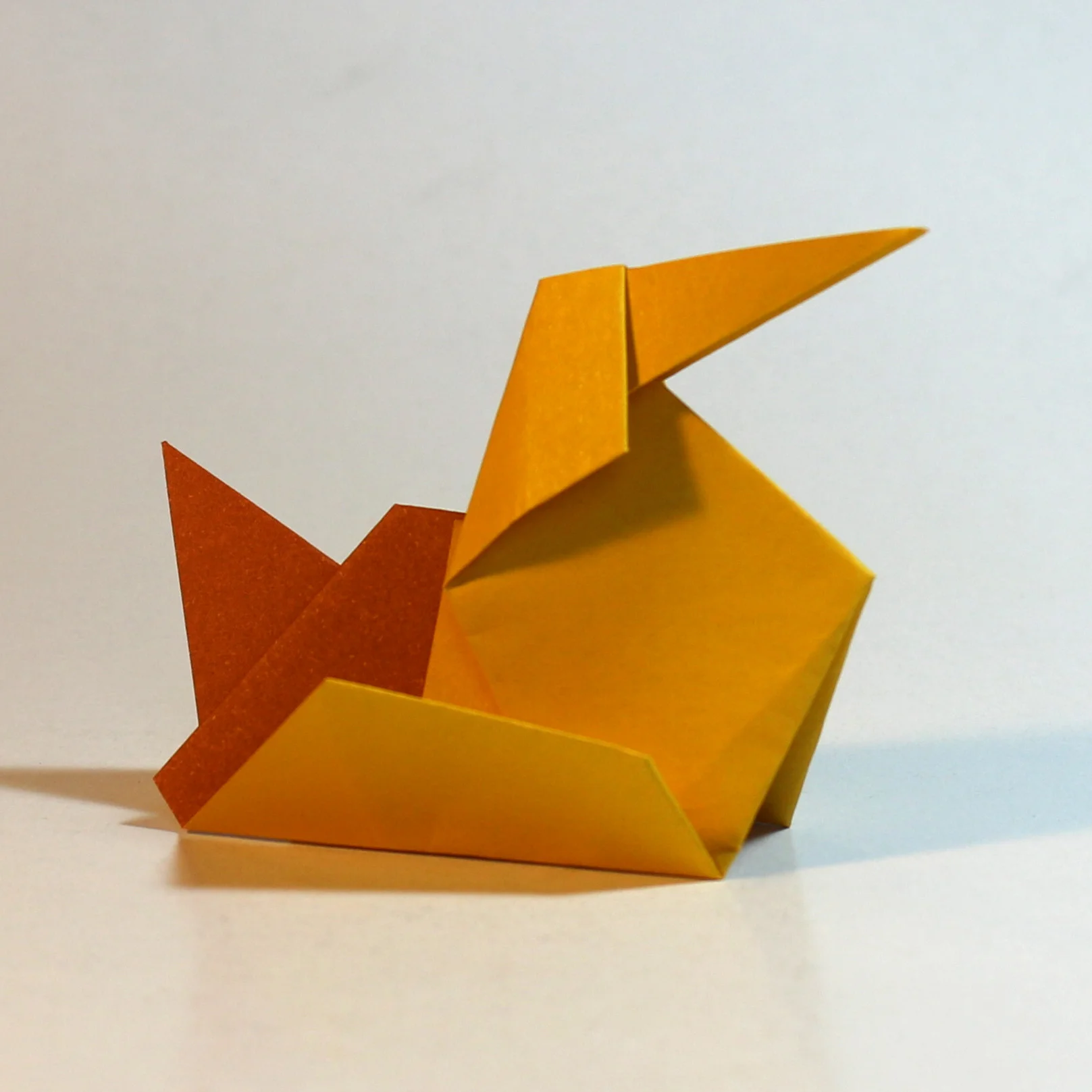 duck-comp3.jpg