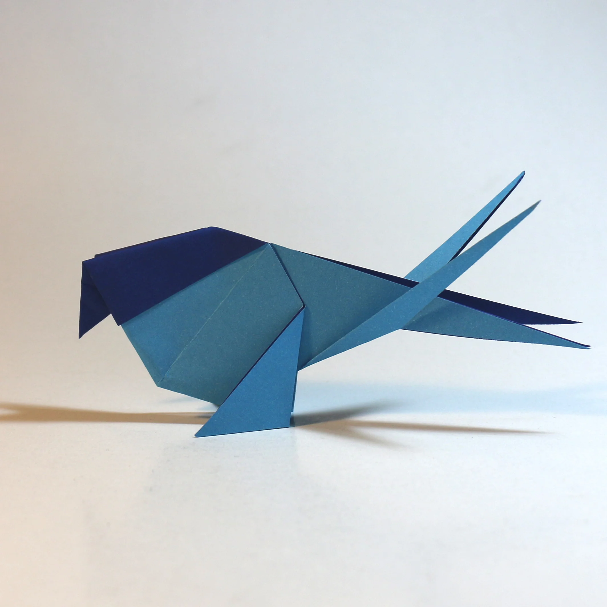 swift-comp1.jpg