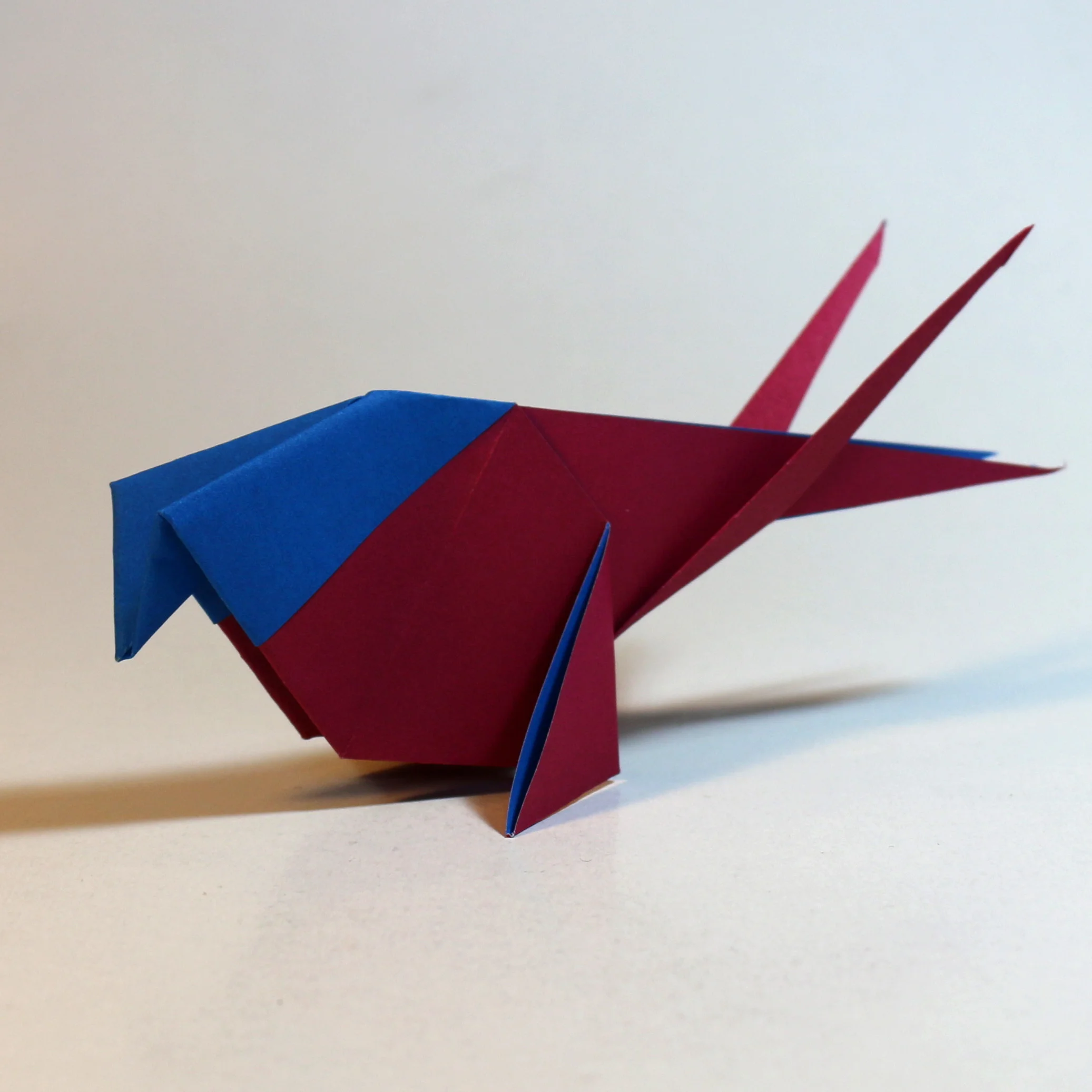 swift-cont1.jpg