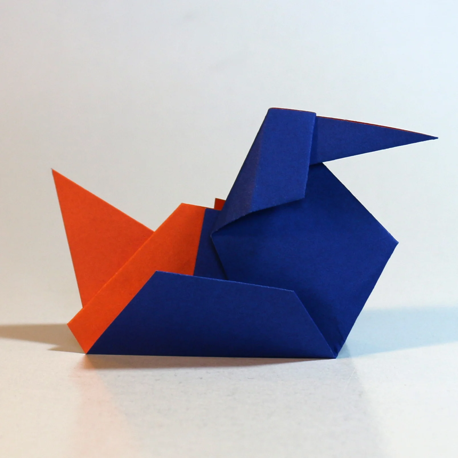 duck-cont2.jpg