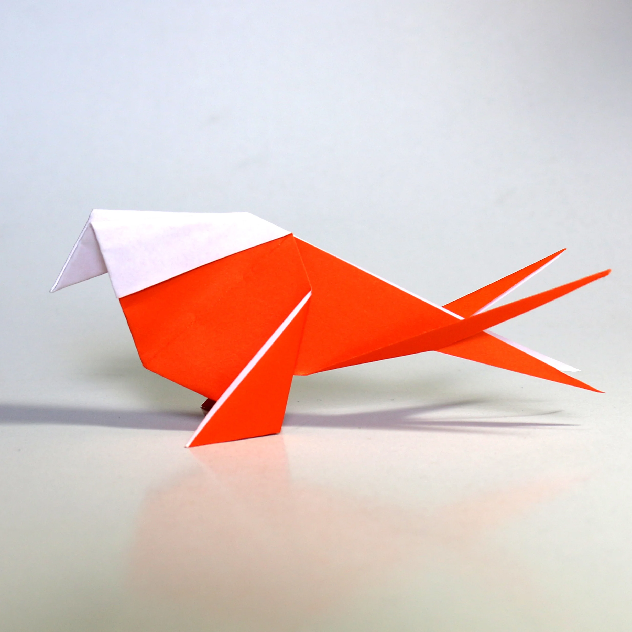 06-swift-orange-021.JPG
