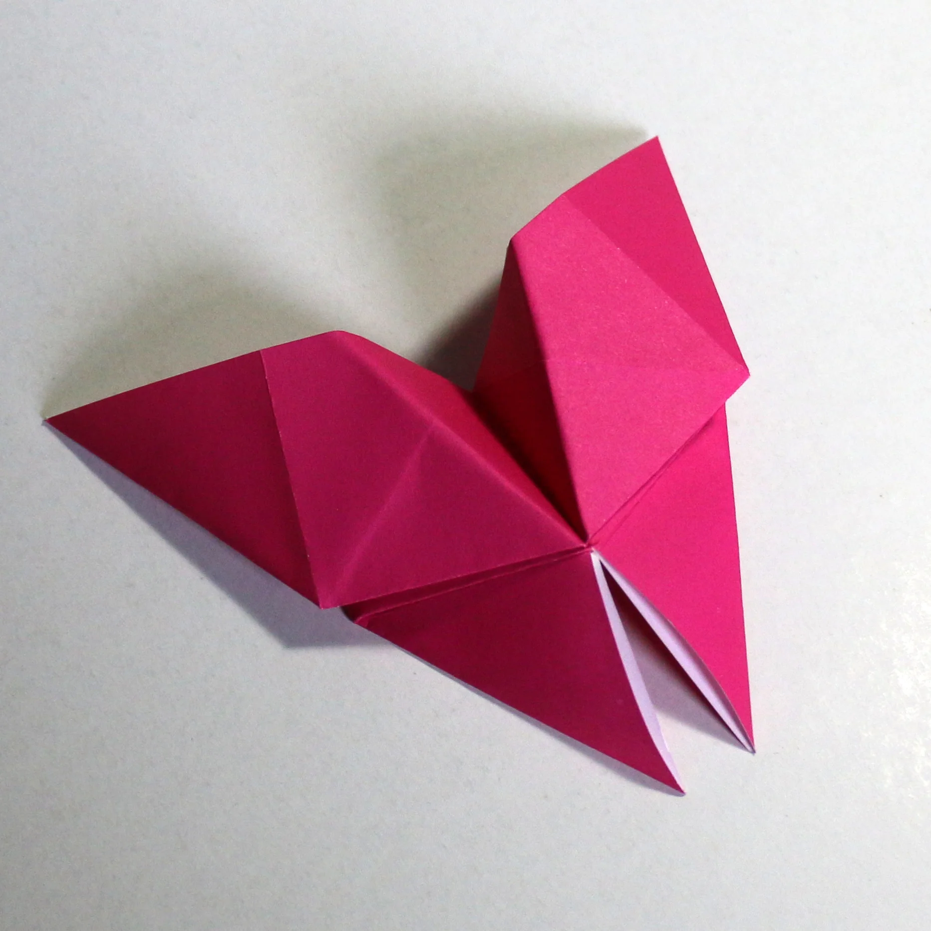 05-butterfly-pink2.jpg