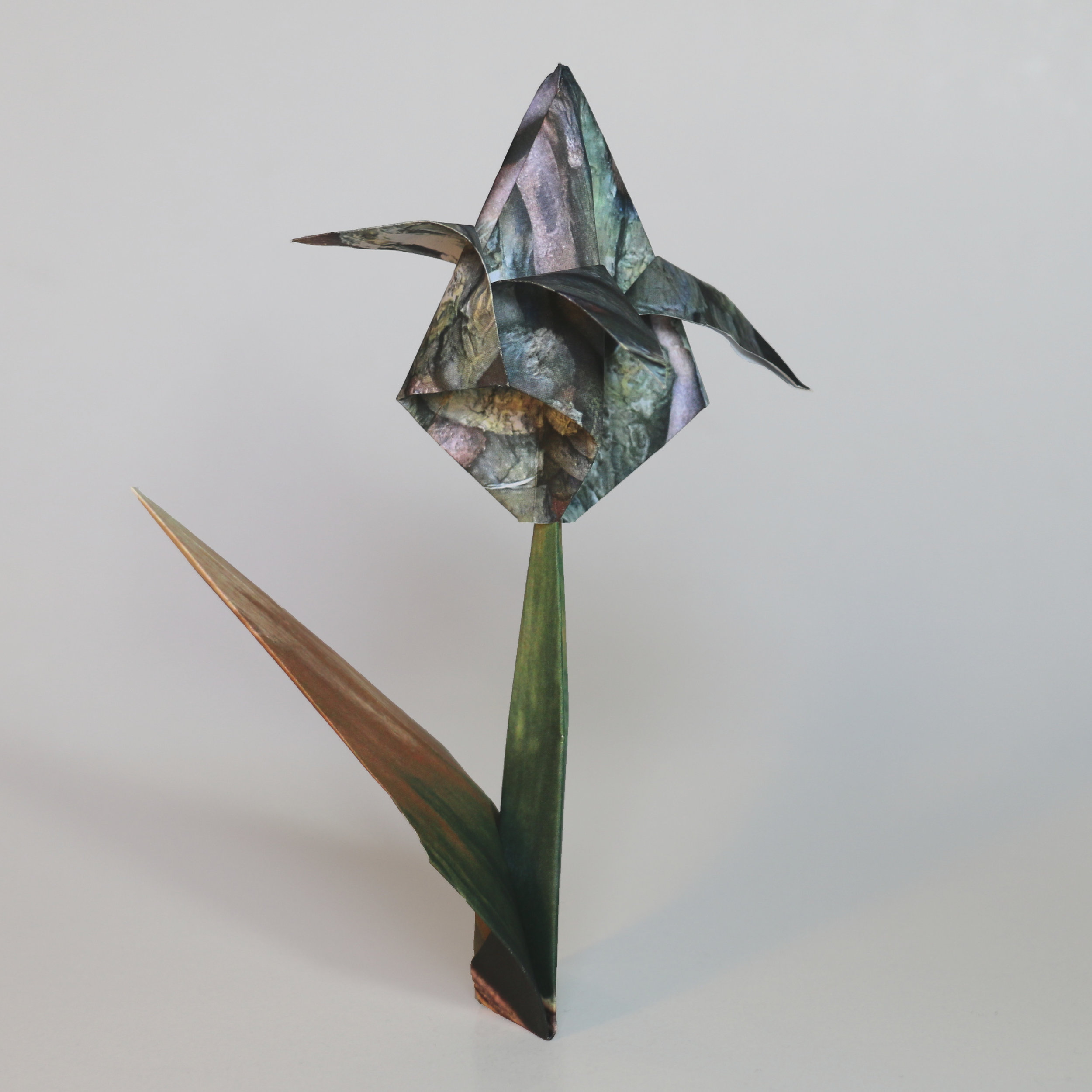 07-flower07-sqr.jpg