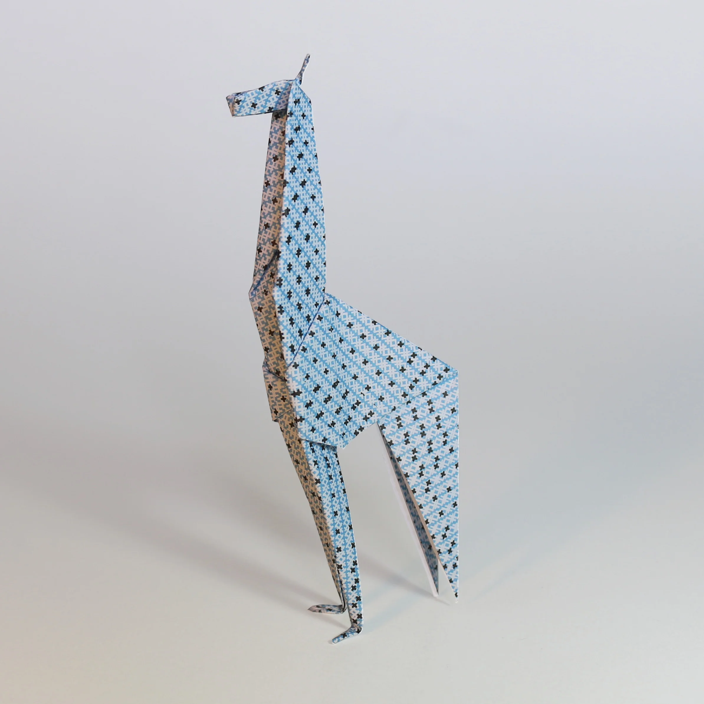 07-giraffe-sqr.jpg
