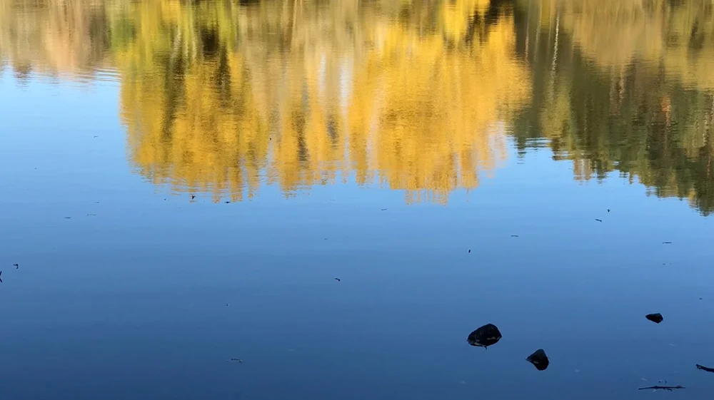 moment of remembrance 12/2018