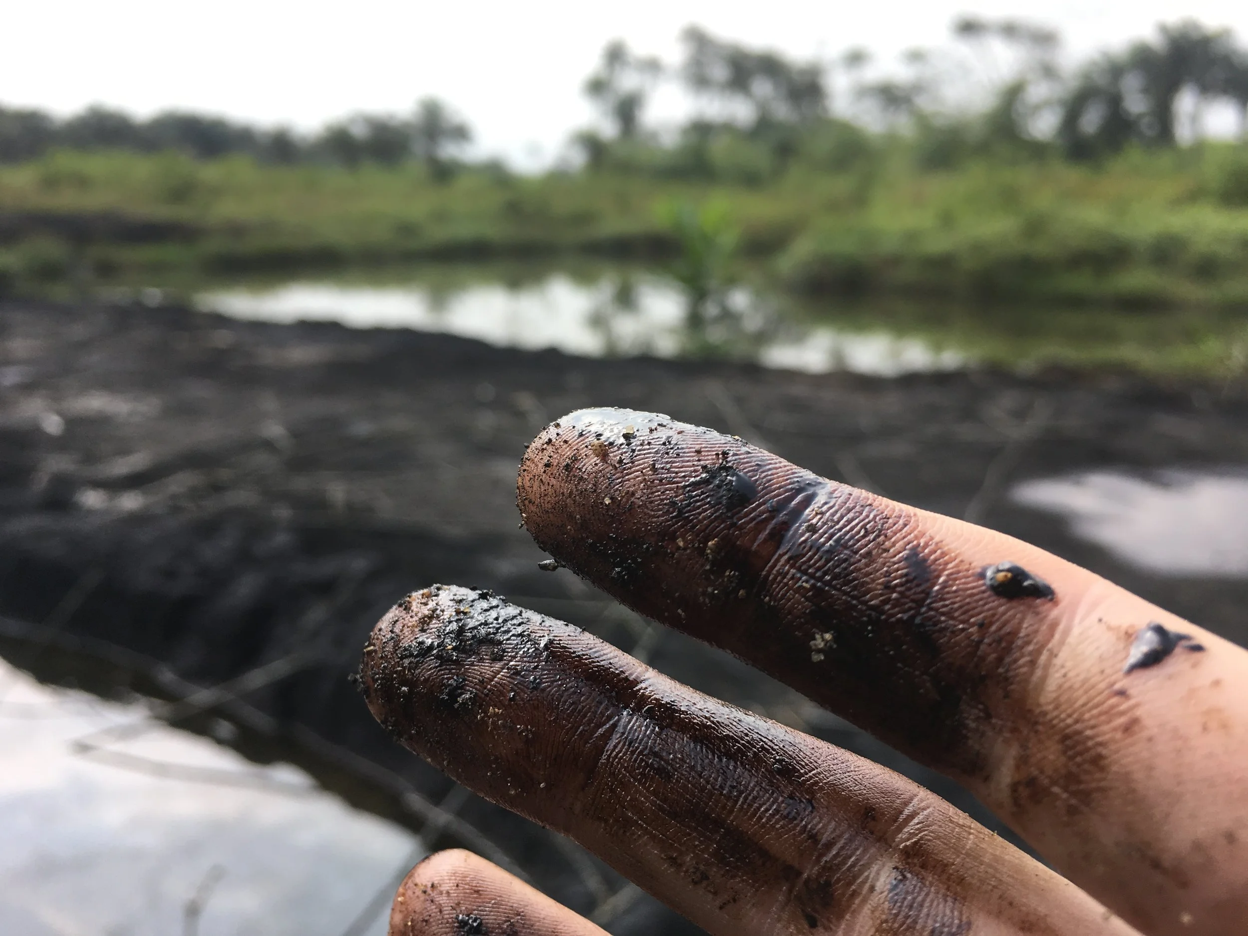 Is crude oil killing children in Nigeria?