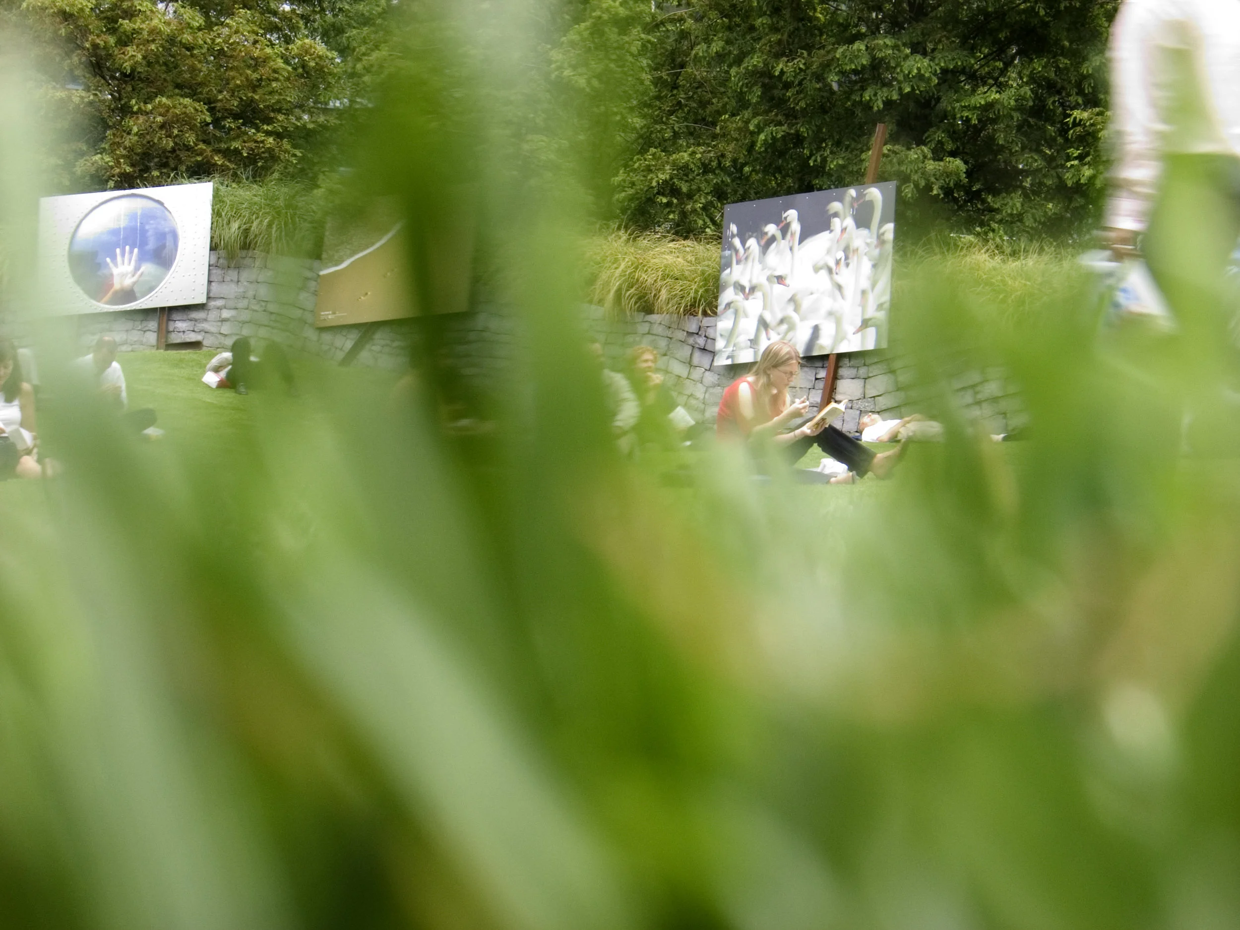 CRW_5910.jpg