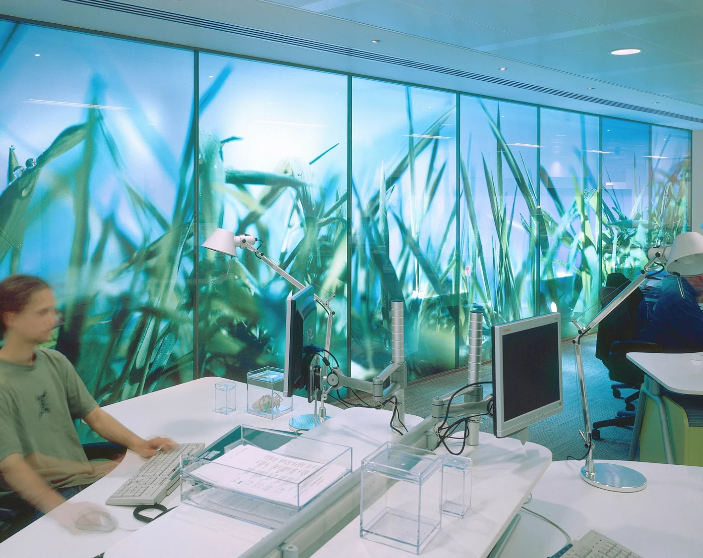 EMI grass office.jpg