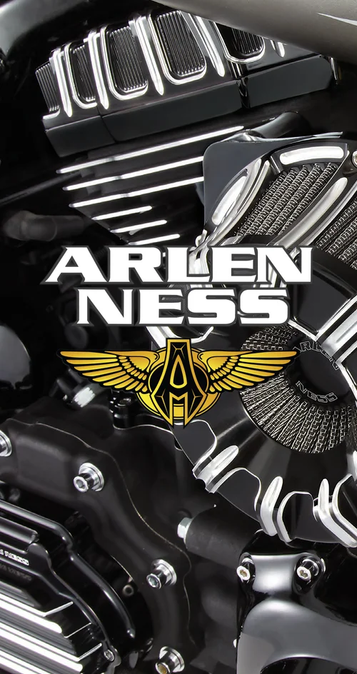 Arlen Ness motorcycle graphic