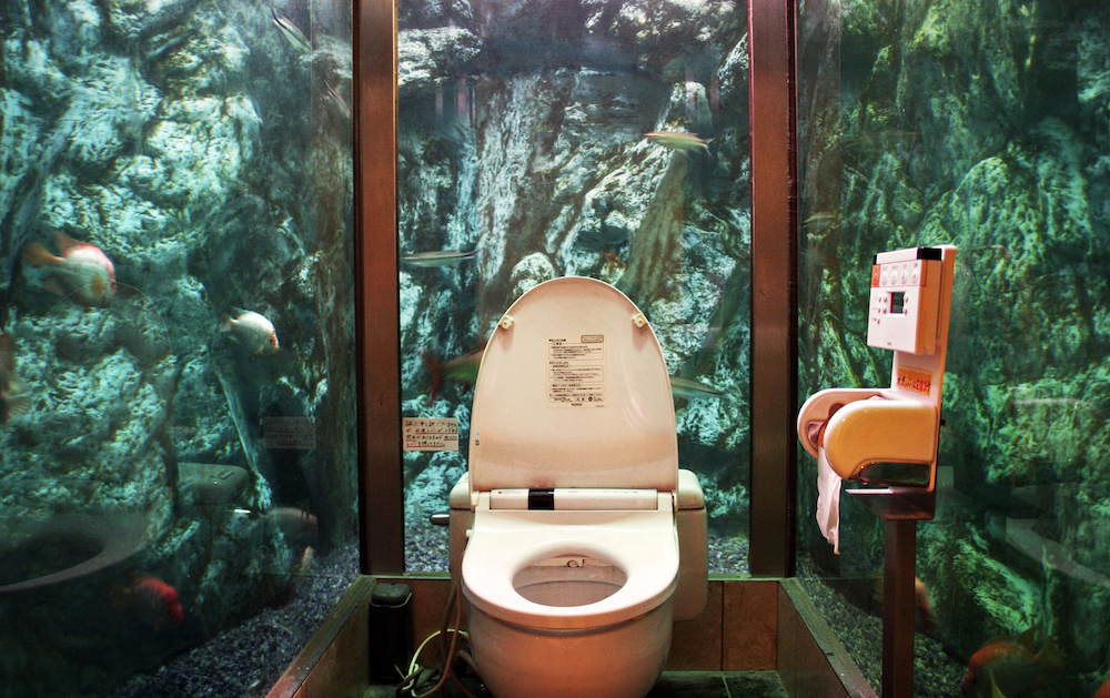 As seen in A Loo with a View, by Luke Barclay (Virgin Books). Image: Emerald Huang.