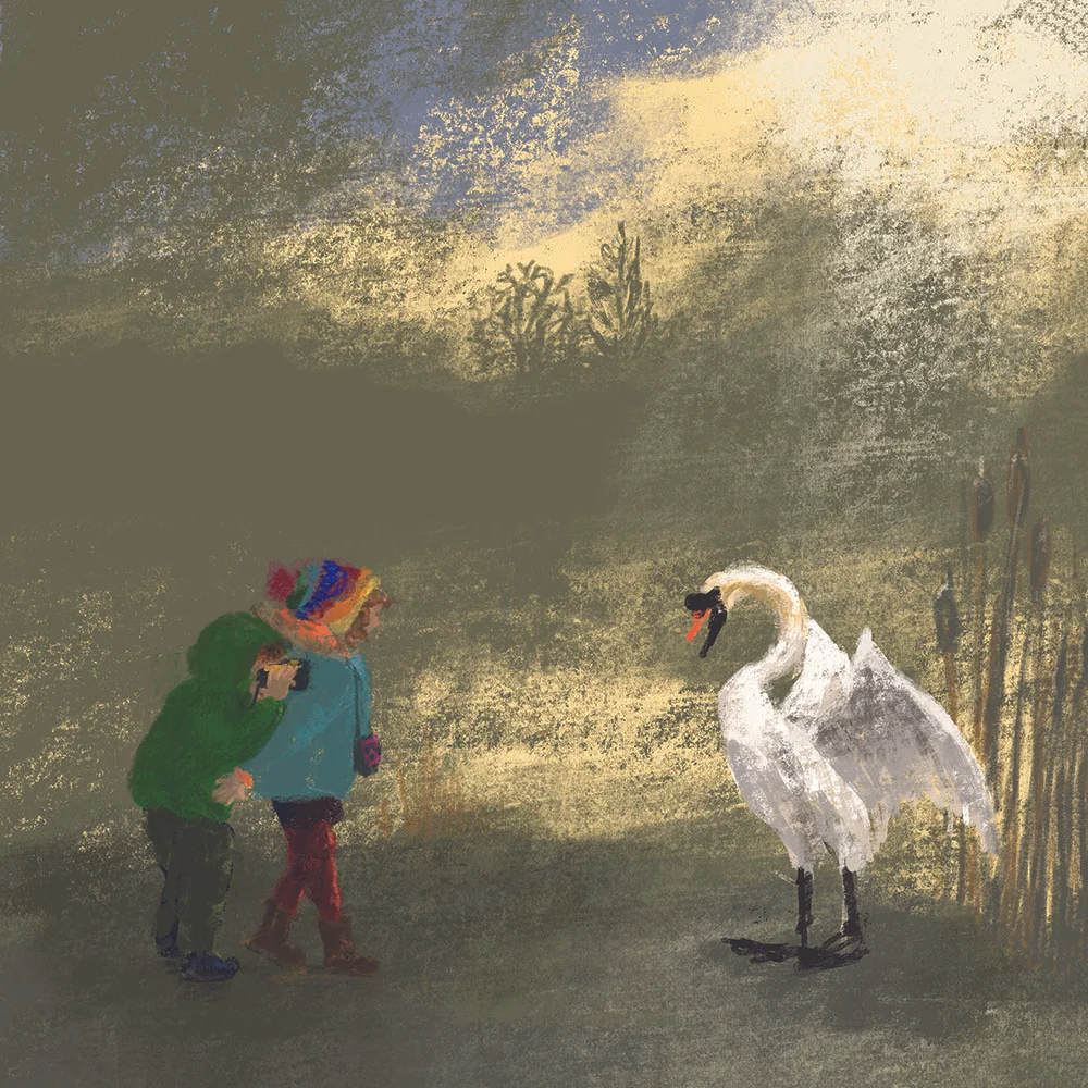 jennybloomfield_winterwalk_swan_web.jpg