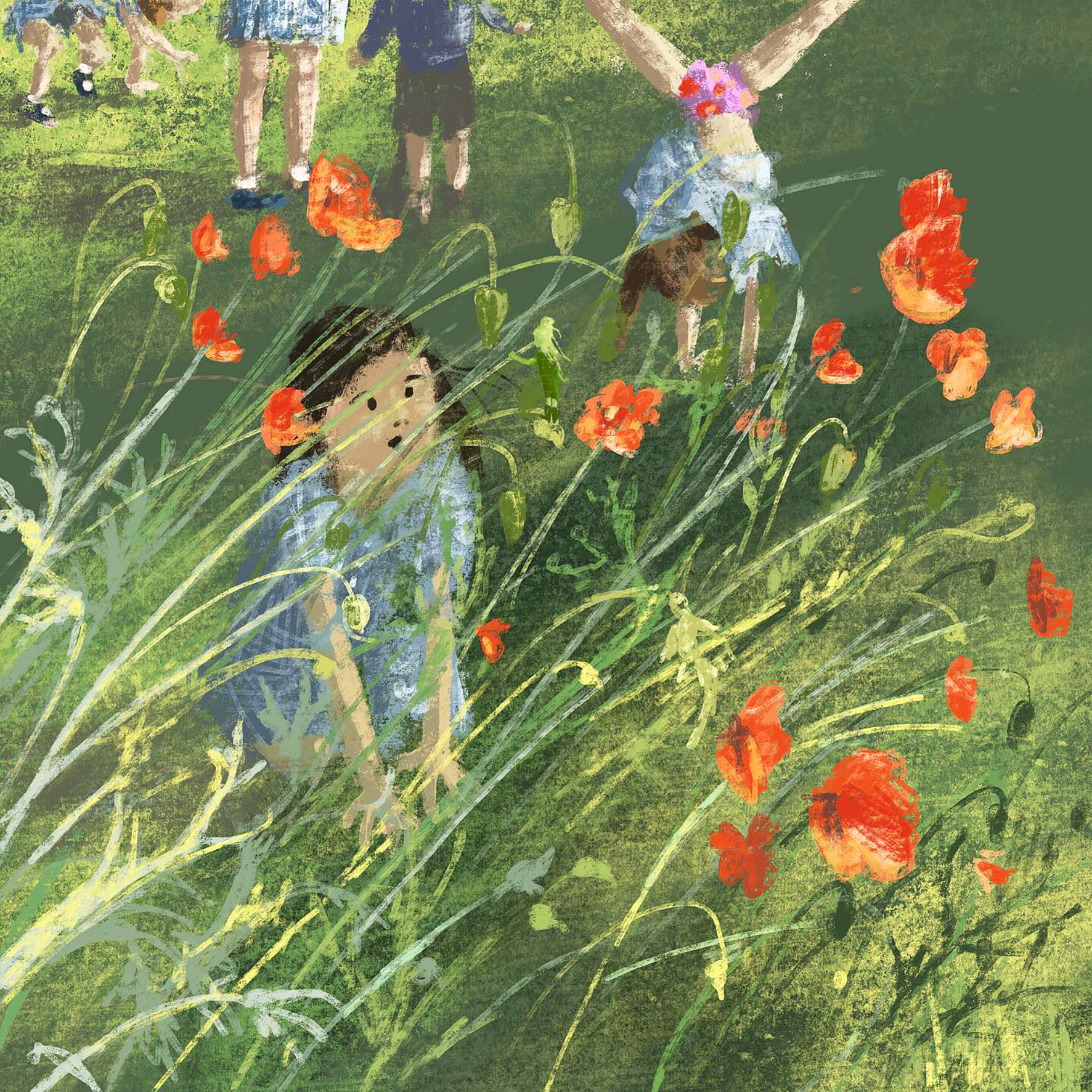 JennyBloomfield_poppies_lowres.jpg