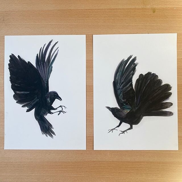 ⭐️ SHOP UPDATE ⭐️ I&rsquo;ve added some new #crows to my shop (link in profile) which I&rsquo;m selling as part of the @artistsupportpledge.
The first are for sale as a pair (I felt they had to stay together).
Thank you so much for your support xx
#i