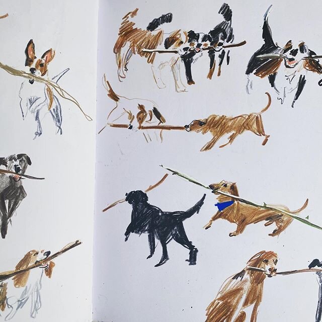 Day 2121: dogs and sticks
#drawingaday #drawingadaychallenge #illustration #leuchtturm1917 #sketch #sketchbook #luminance #dogsofinstagram #dogwalk #dogsketch #leuchtturm1917