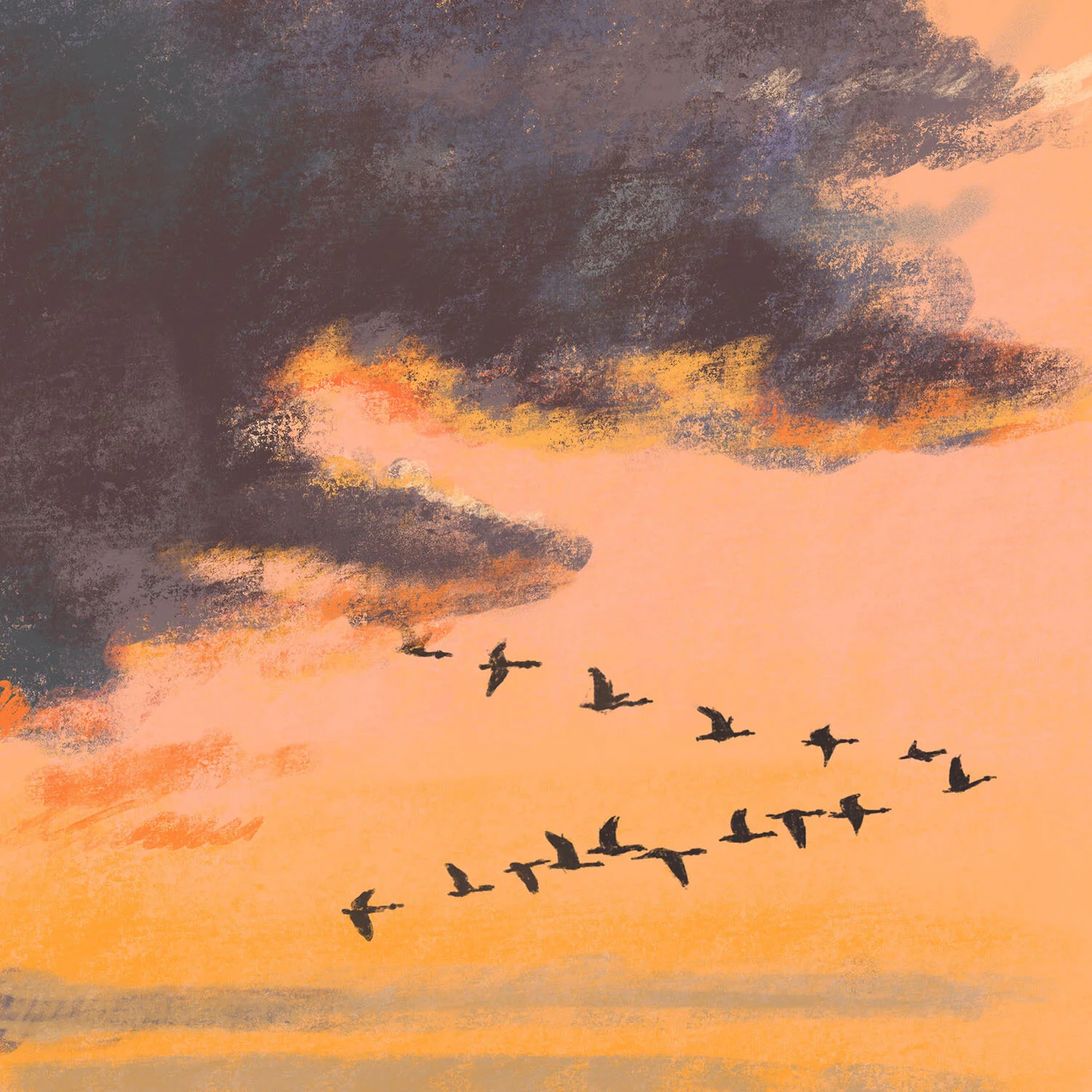 JennyBloomfield_geese_web.jpg