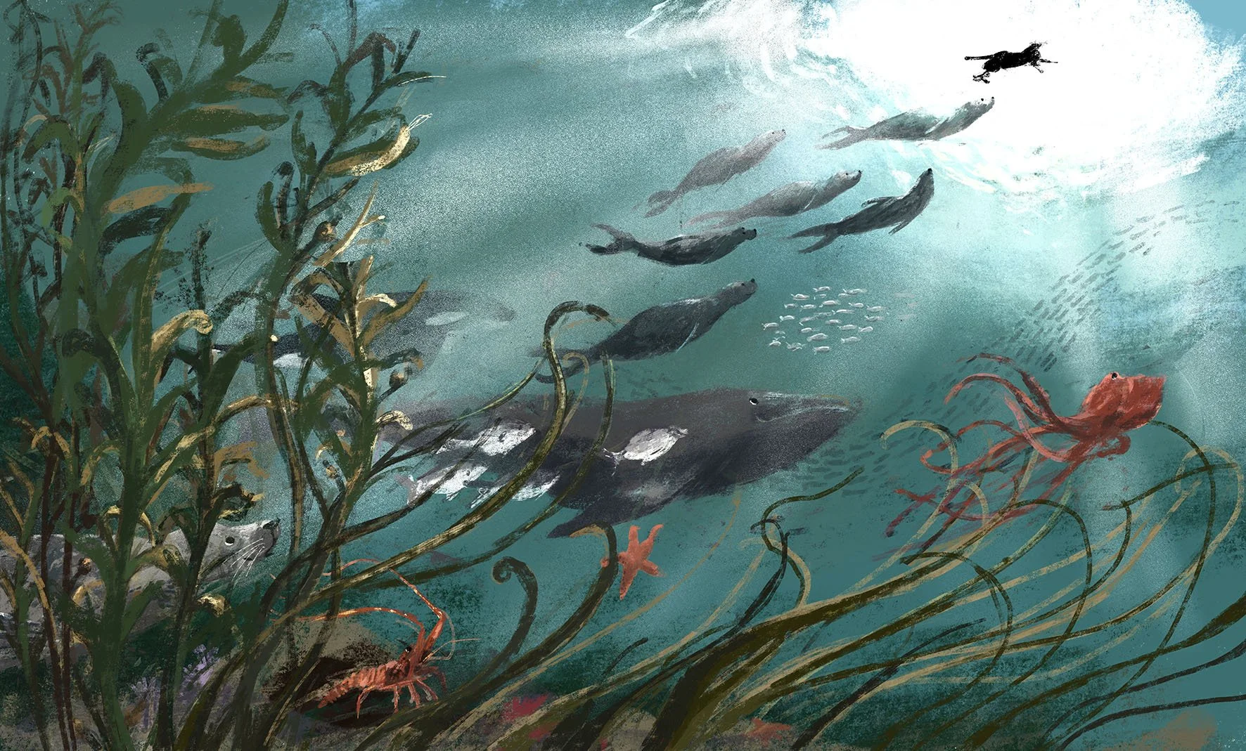 JennyBloomfield_underwaterspread_JB.jpg