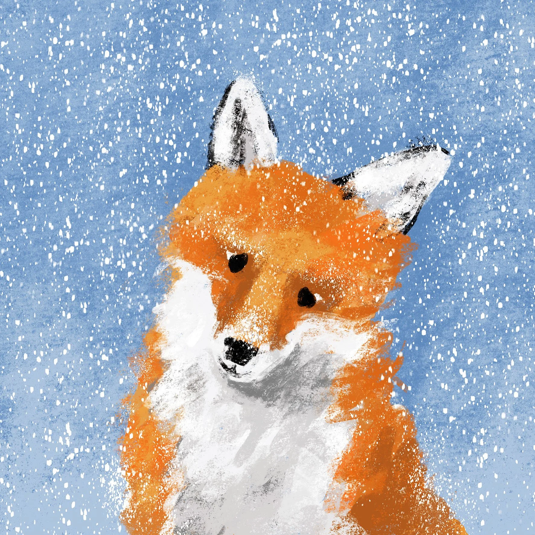 JennyBloomfield_snowfox_web.jpg