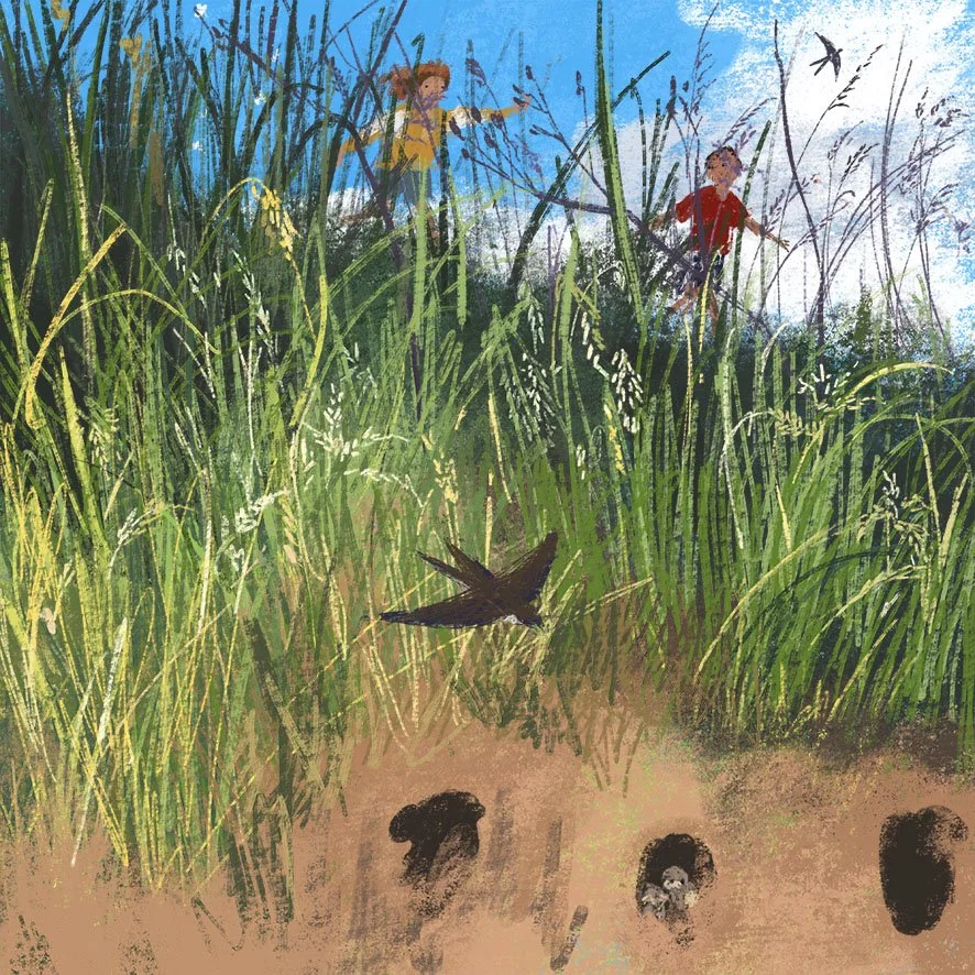 JennyBloomfield_sandmartins.jpg