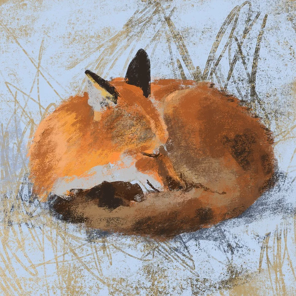 JennyBloomfield_Frosty_Fox_lowres.jpg