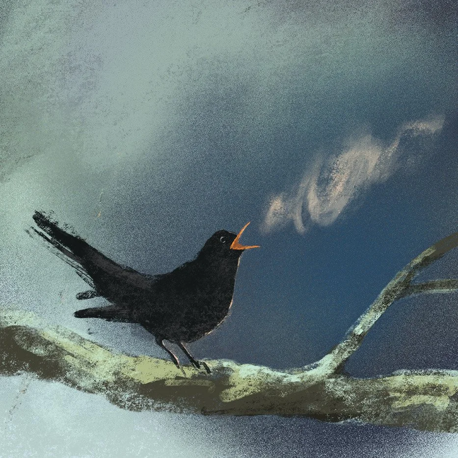 Blackbird_Song_lowres.jpg