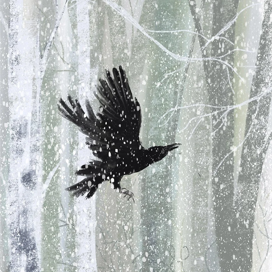 crow_in_snow_lowres.jpg