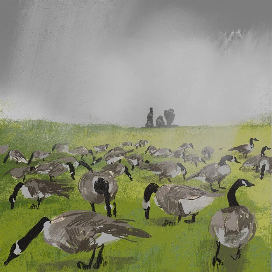 Dreich_Geese_lowres.jpg