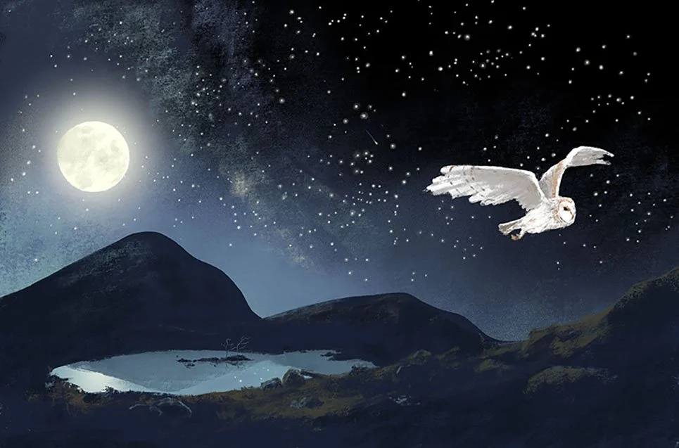 Jennybloomfield_owl_lowres.jpg