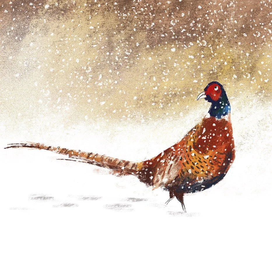 pheasant_lowres.jpg