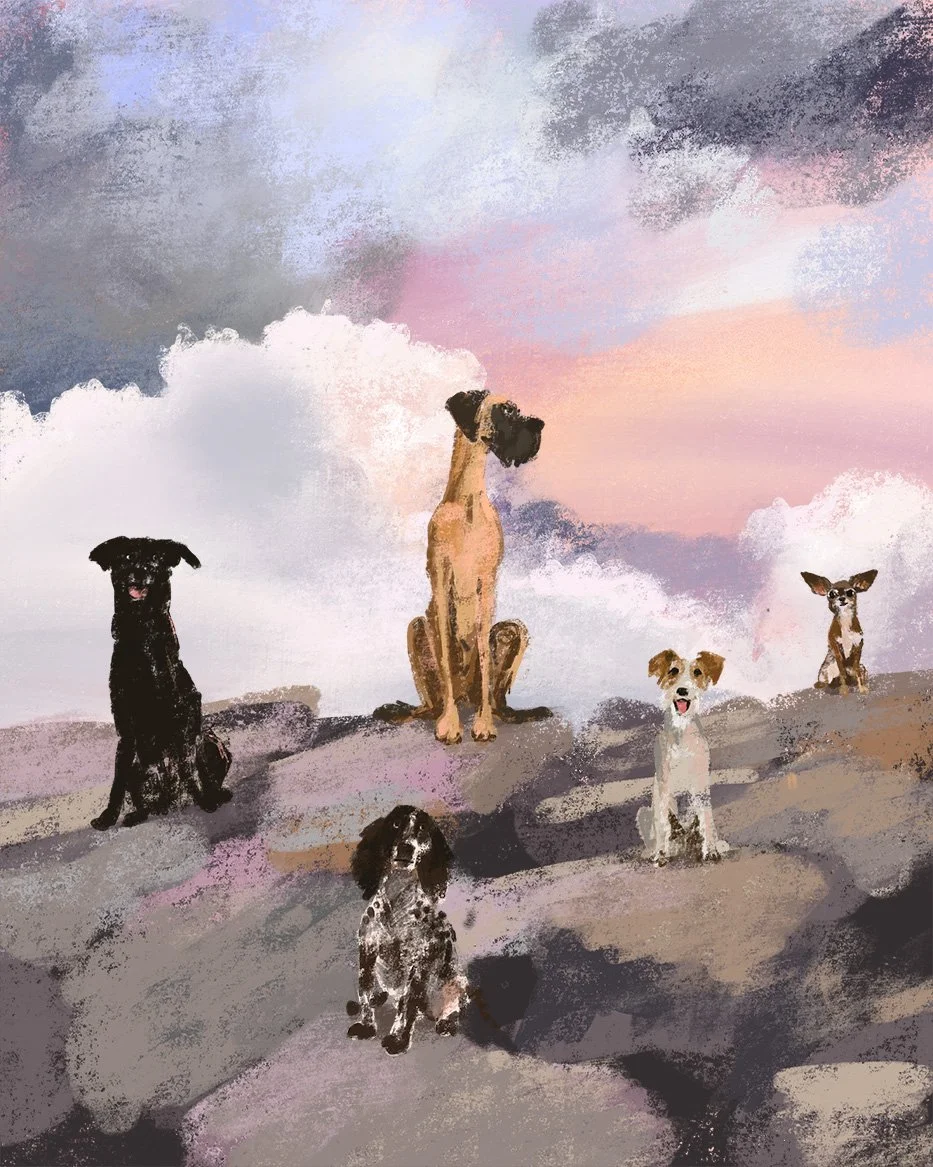 Dogs_On_Rocks_lowres.jpg