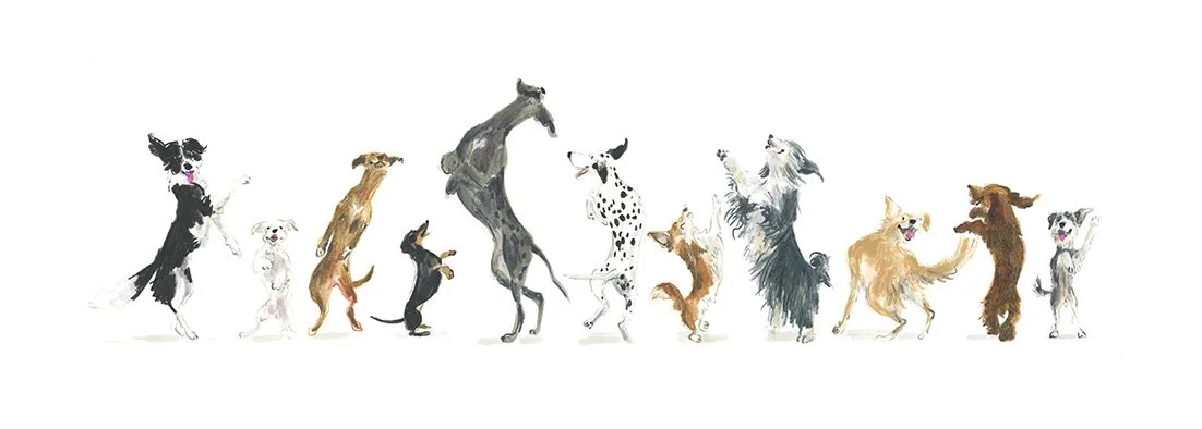 Eleven dancing dogs_lowres.jpg